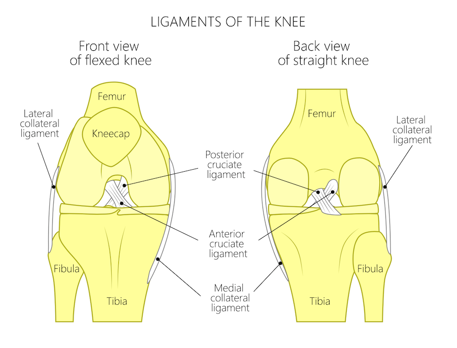 Chirurgie du ligament croisé antérieur